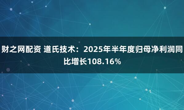 财之网配资 道氏技术：2025年半年度归母净利润同比增长108.16%
