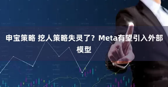 申宝策略 挖人策略失灵了？Meta有望引入外部模型