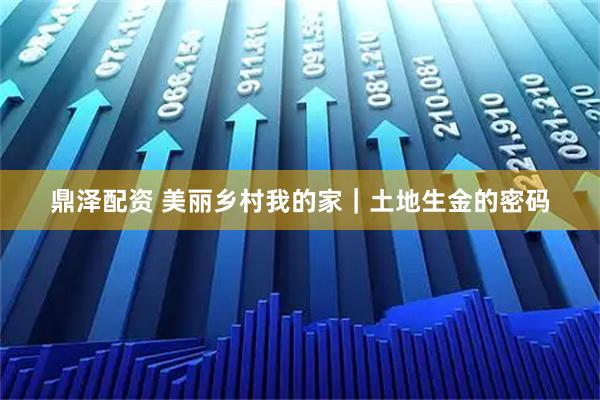 鼎泽配资 美丽乡村我的家｜土地生金的密码