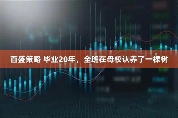 百盛策略 毕业20年,全班在母校认养了一棵树